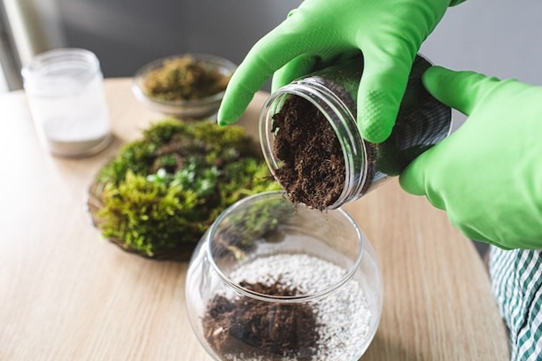 Organic_Fertilizer