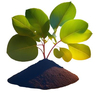 Resilience image