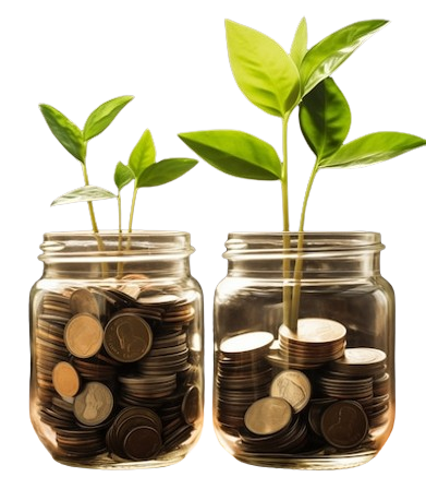 Cost-Effective Solutions image